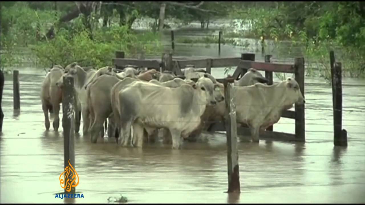 Flooding devastates Bolivia