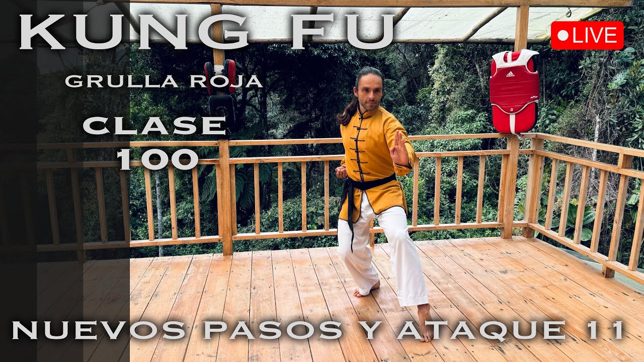 Grulla Roja técnica y ataque 11 / Repaso de Kung Fu Universal 2 - Clase 100 Kung Fu Wushu