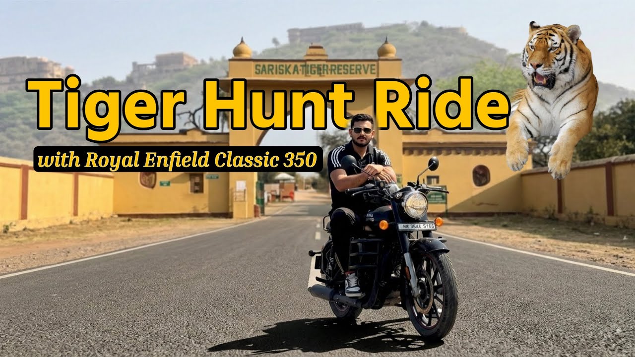 Sheher Se Sher Tak 🐅 | Royal Enfield Classic 350 Ride to Sariska Tiger Reserve | Rajasthan Bike Tour