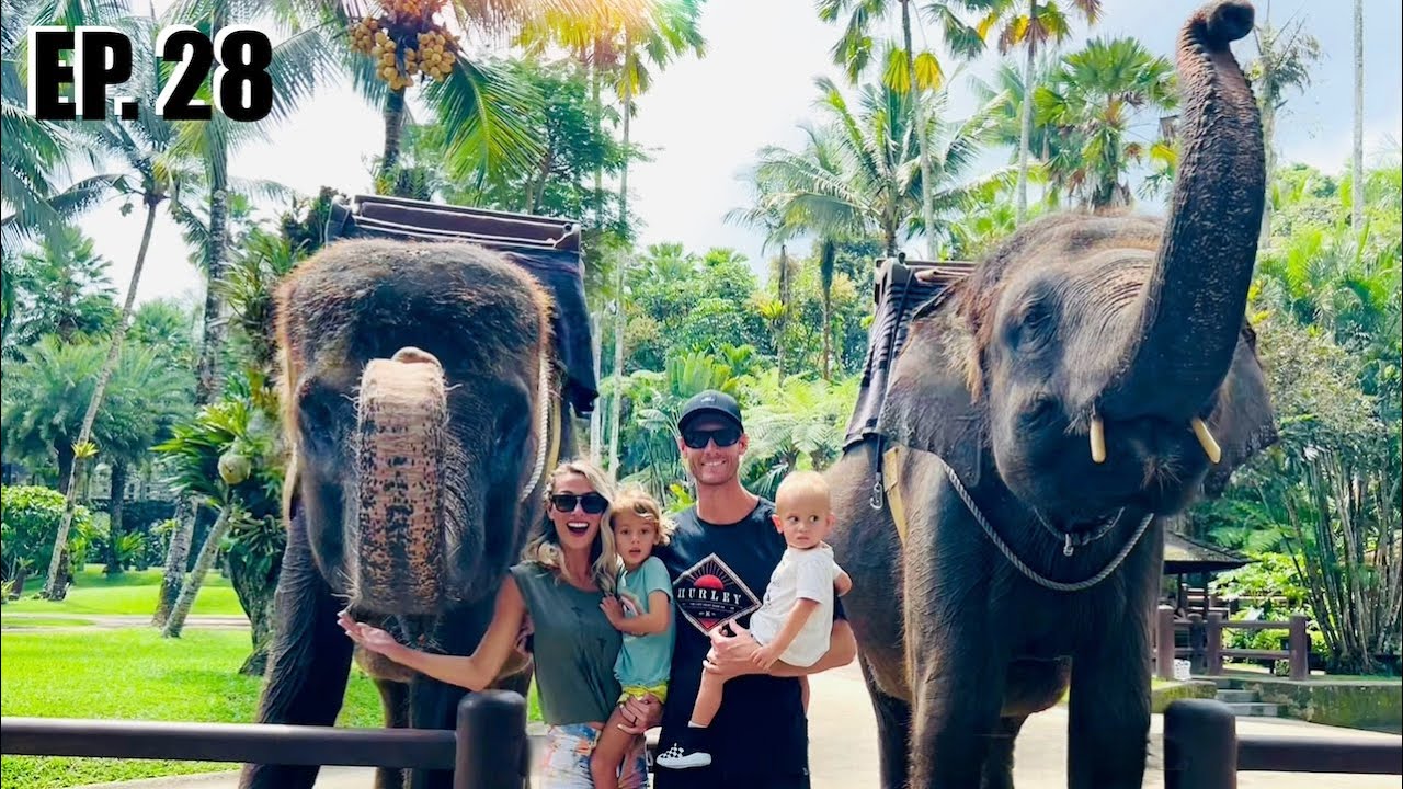 This is What the Mason Elephant Sanctuary is ACTUALLY like! | Ep. 28