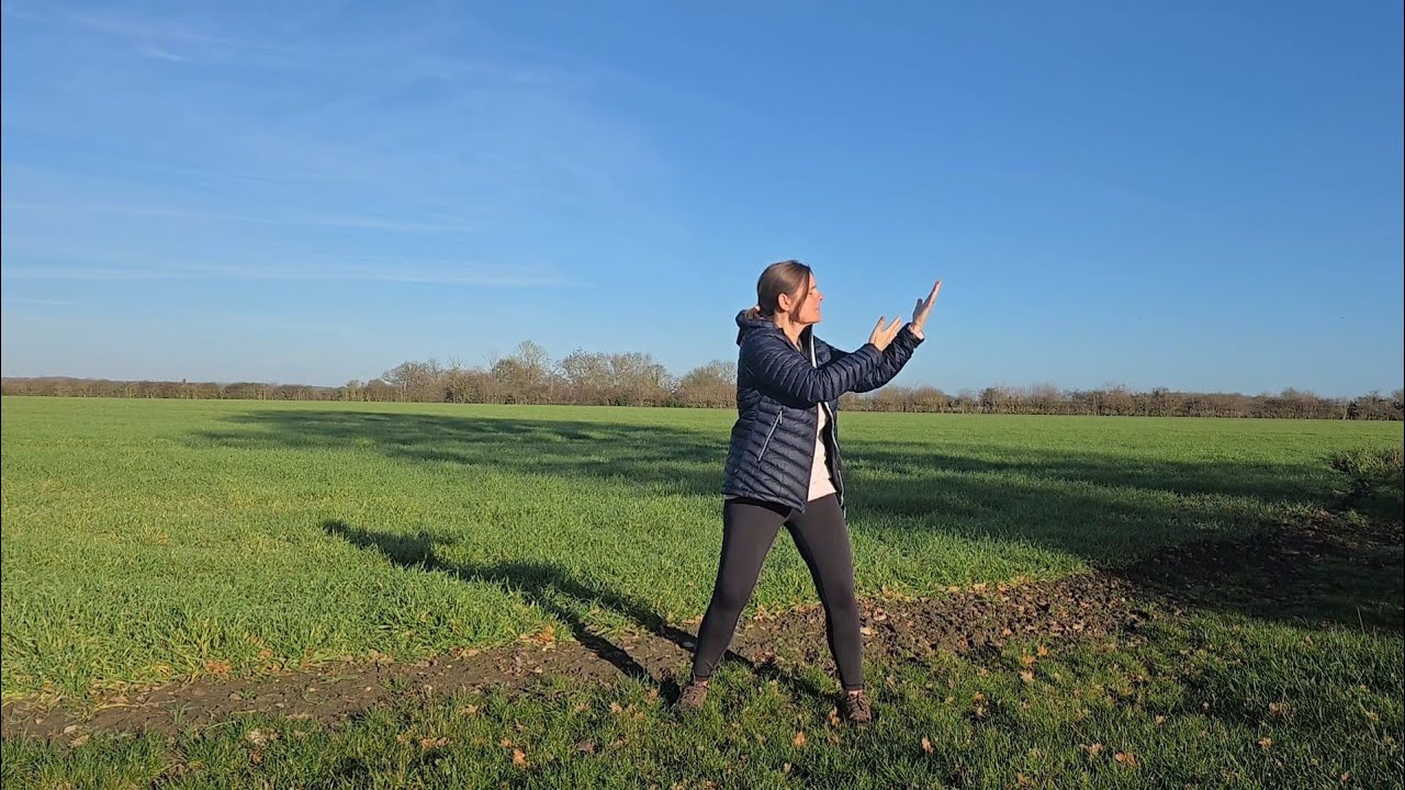 Wu Ji Qigong