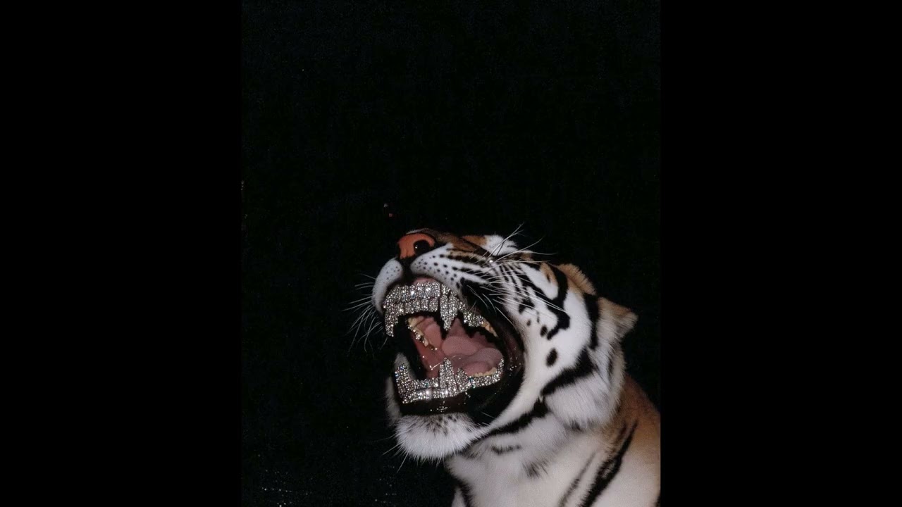 [SATILIK] Freestyle Type Beat - 