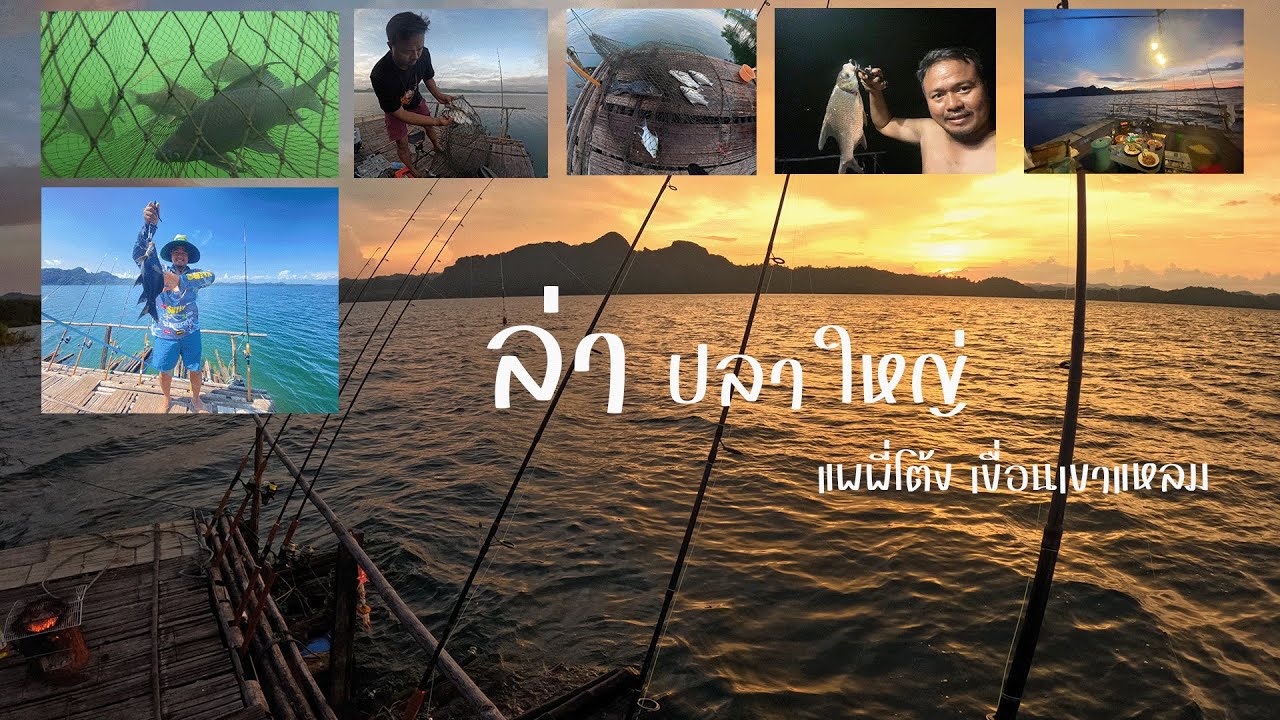 ตกปลาใหญ่ แพพี่โต้ง  เขื่อนเขาแหลม