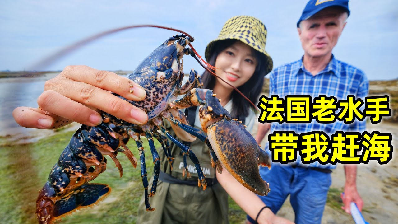 法国老水手带我赶海，闯秘密海岛，龙虾生蚝成群抓！|  法國 | 龍蝦 | 户外 | 螃蟹 | 趕海 | 生蚝 |