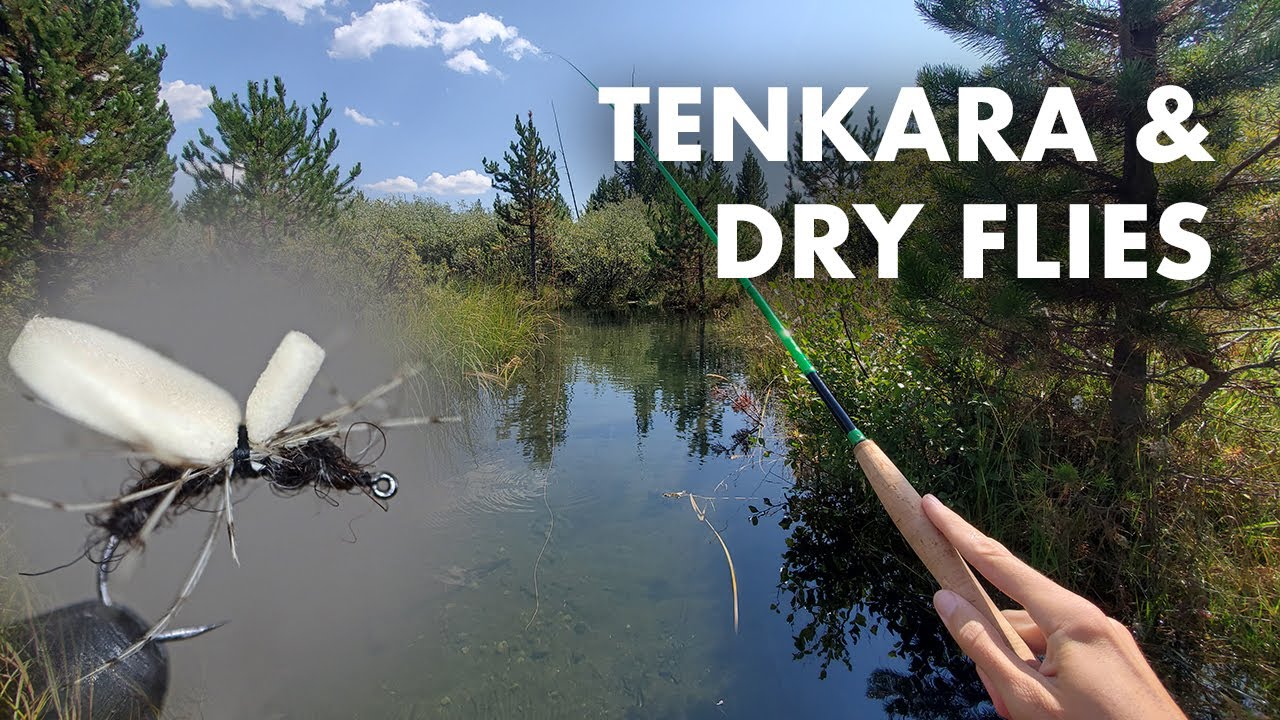 My First Time Fishing with Dry Flies! (Tenkara Fly Fishing)