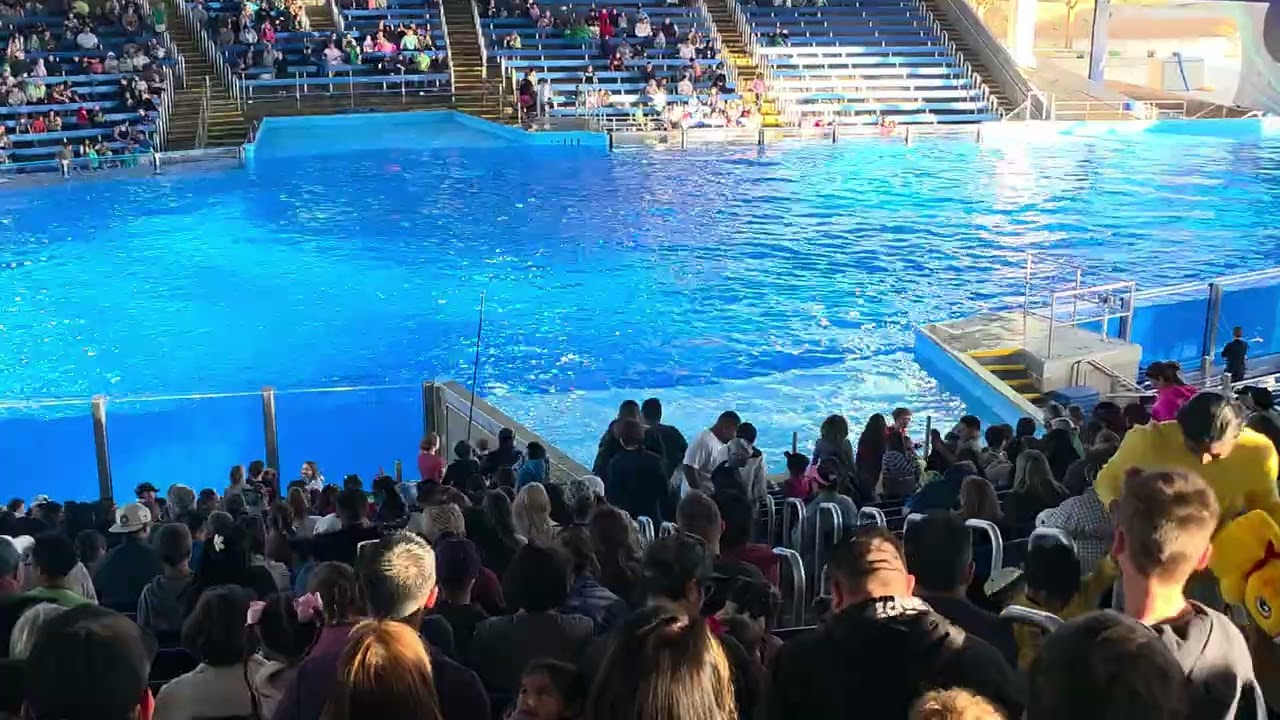 Sea world San Antonio wells 