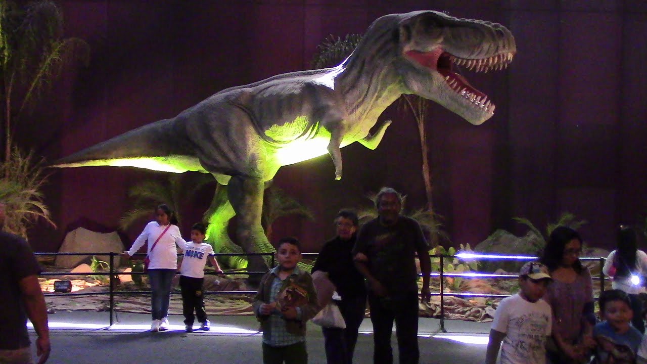 EL SHOW DE GINA EN EL ANIMATRONICS DE PLAZA LIMA NORTE