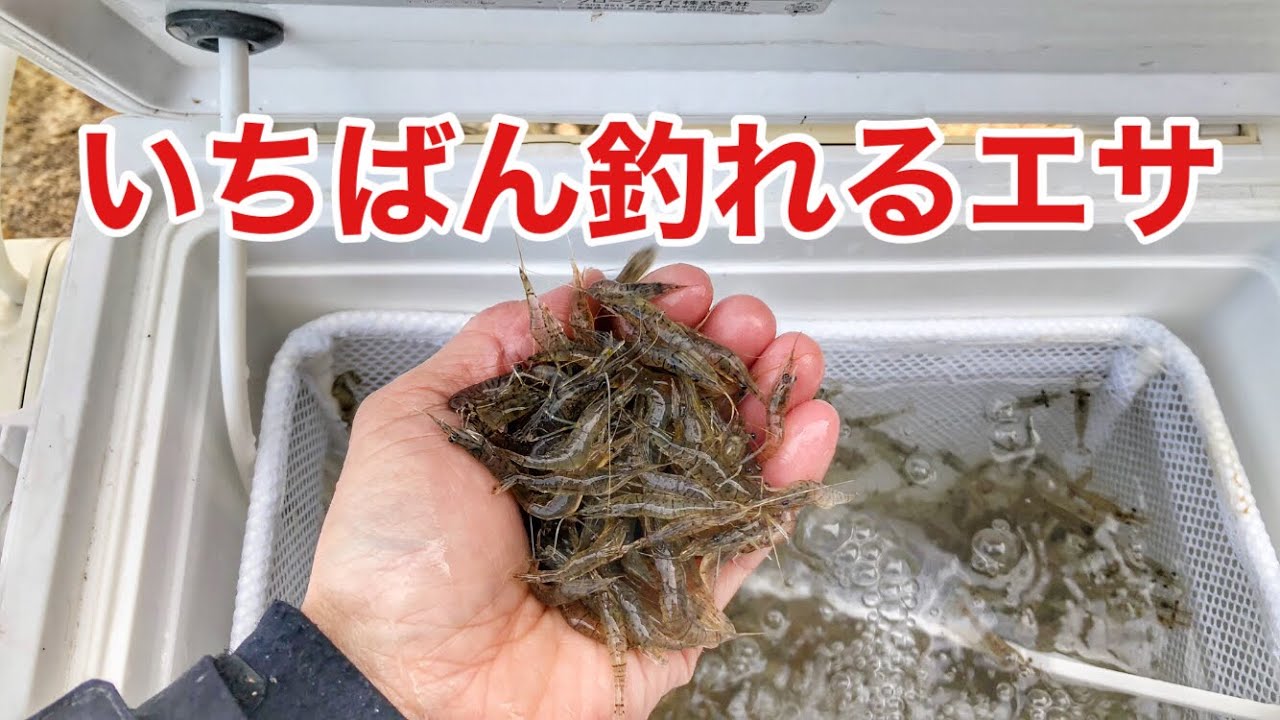 冬に大きい魚釣りたい時はコレ