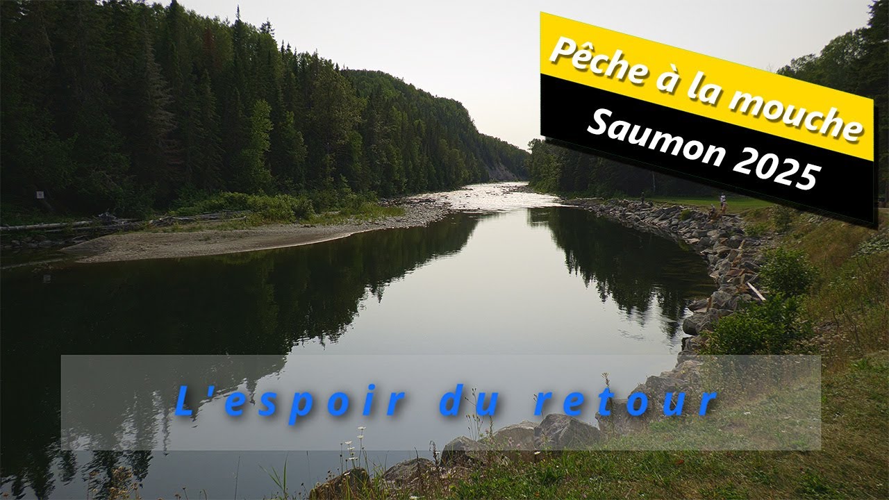 L'espoir du retour