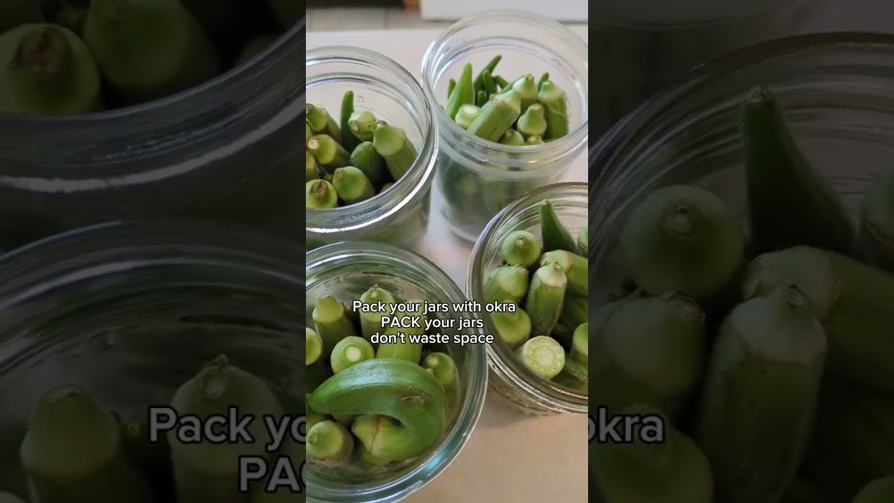 Canning Recipe | Pickled okra |