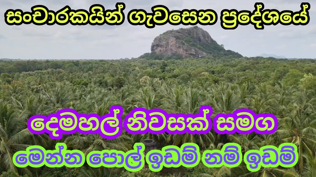 Property sale in Mahawa Yapahuwa , land for sale house and land sri lanka lassana lanka property