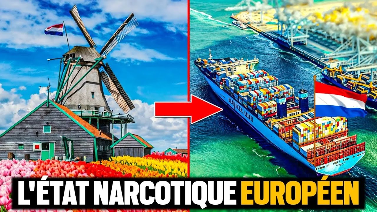 Les Pays-Bas sont-ils en train de Devenir un Narco-&Eacute;tat ?