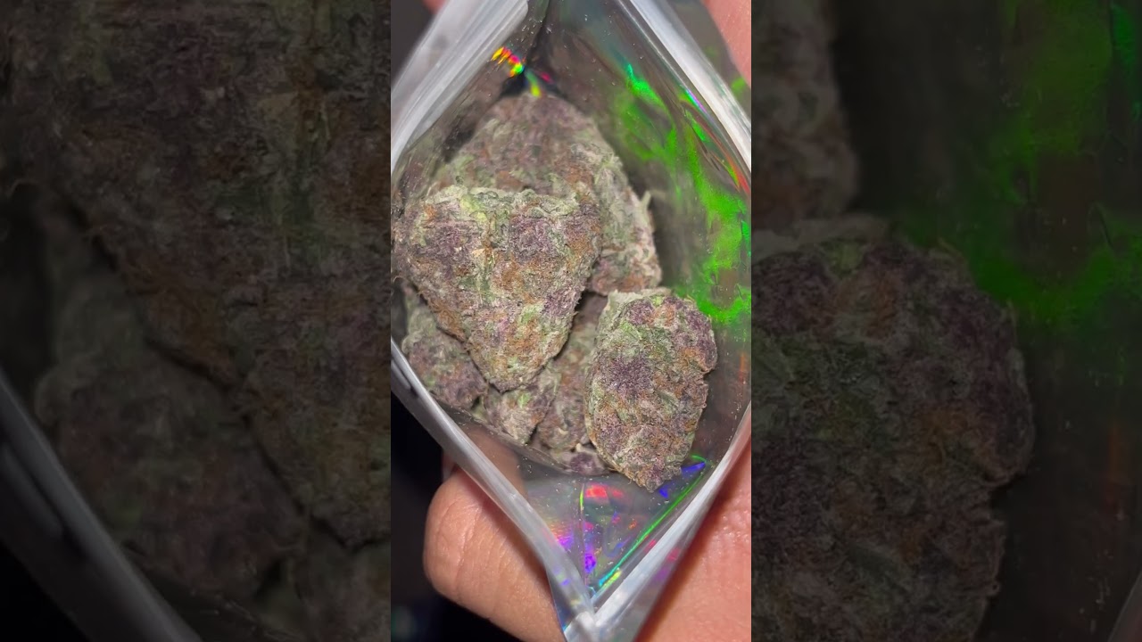 Forbidden fruit strain