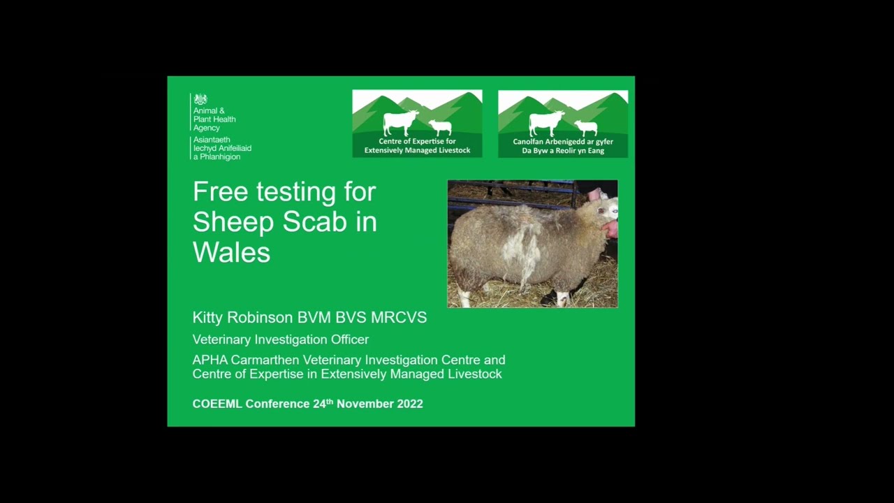 Free sheep scab testing in Wales COEEML Conference 2022