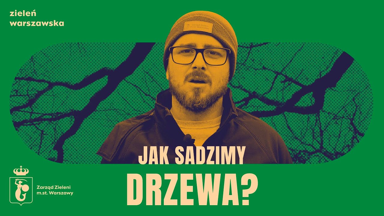 Jak sadzimy drzewa?