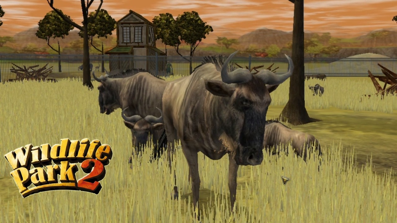 Common Wildebeest Wildlife Park 2 Crazy Zoo Gameplay HD