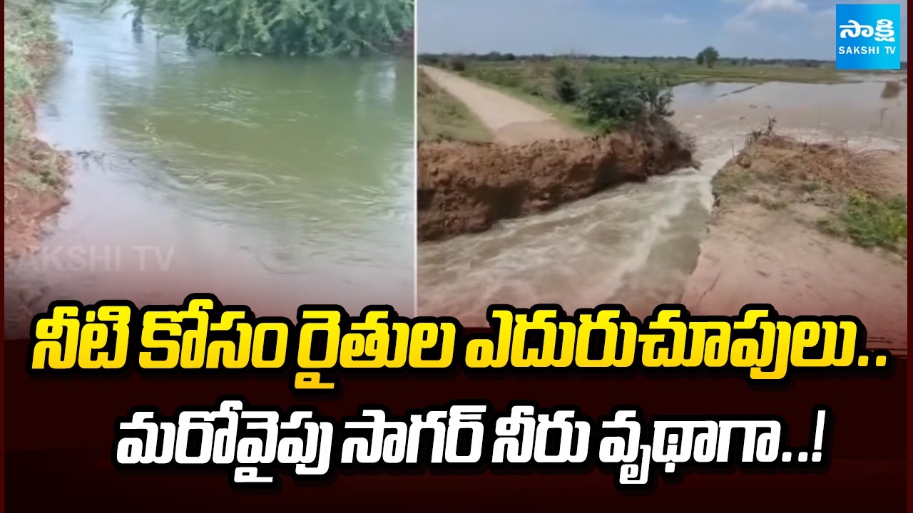 సాగర్ కాలువలకు వరుస గండ్లు! | Water Wasted as Nagarjuna Sagar Canals Breach | Farmers Raise Concerns