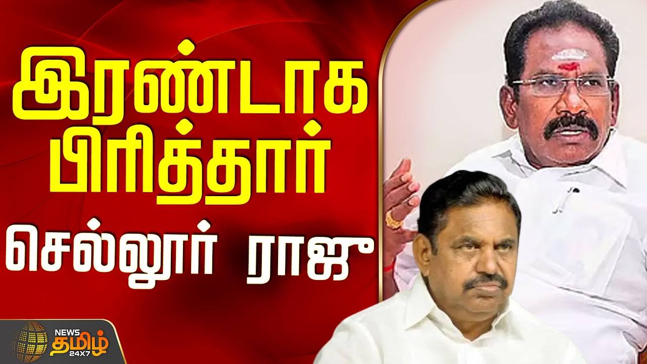 Aiadmk | Sellur Raju | PM Modi Meeting | இரண்டாக பிரித்து செல்லூர் ராஜு சொன்ன புதிய தகவல்