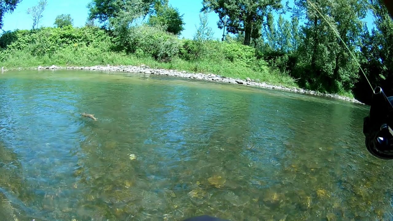 Gros poisson de Garonne(pêche au toc)