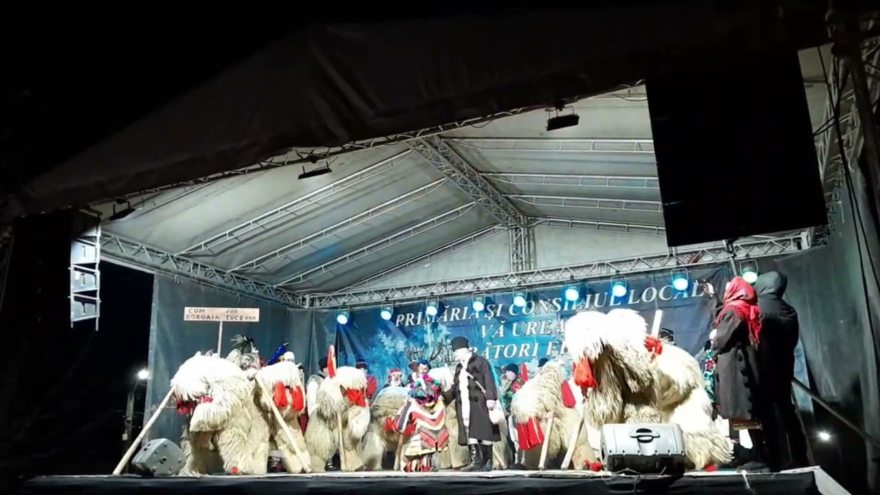 Urșii de la Boroaia