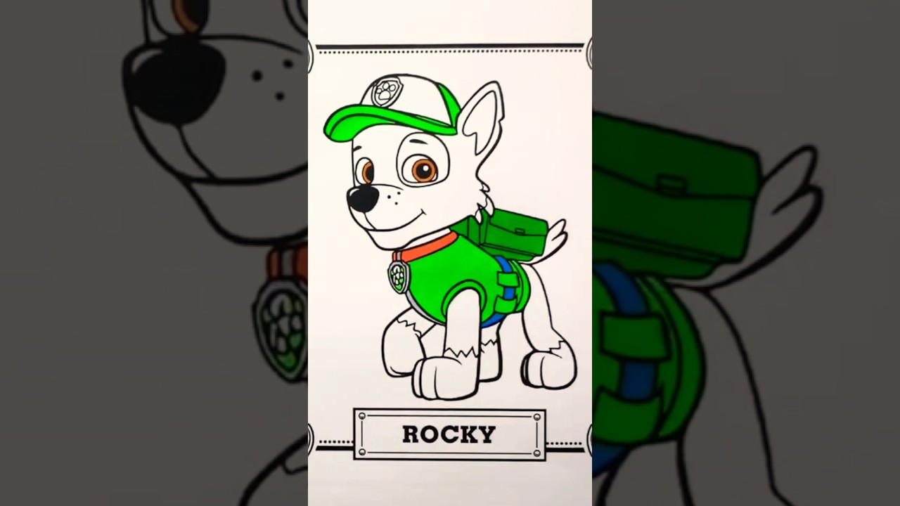 Paw Patrol Rocky Pup #shorts #short #shortsfeed #shortvideo #shortsvideo #shortsviral #viralshort