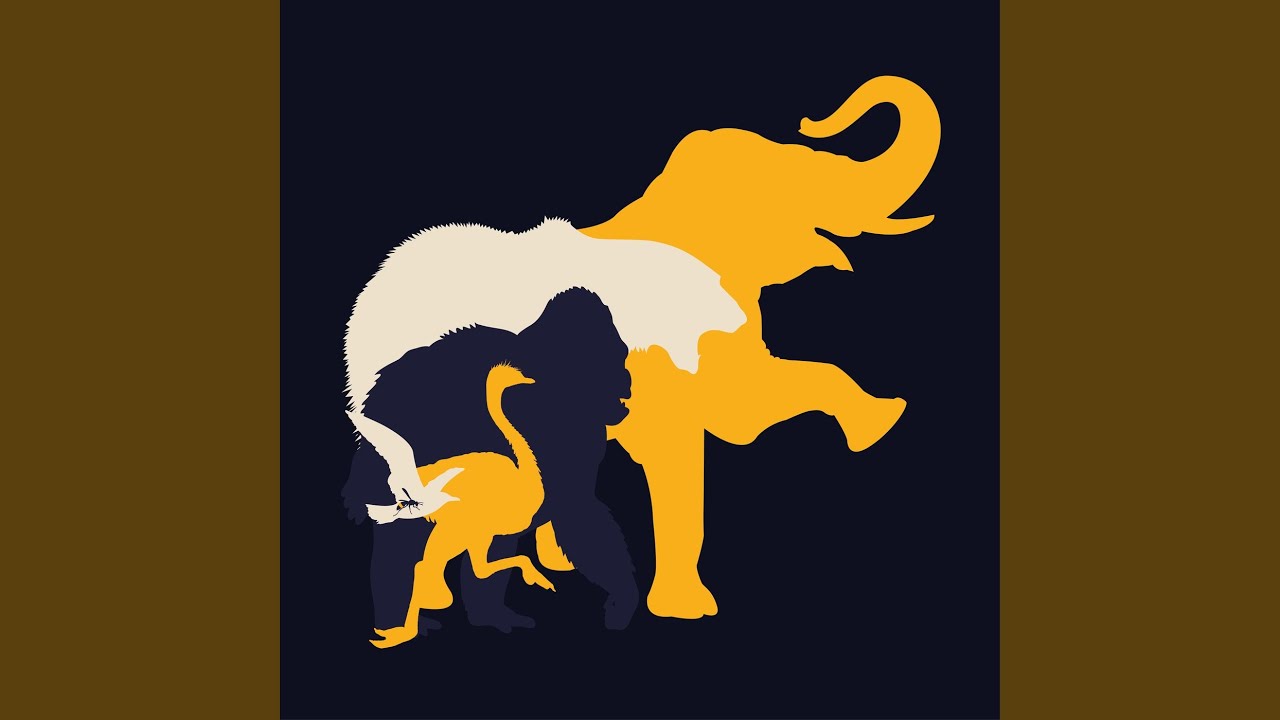 KBH ZOO
