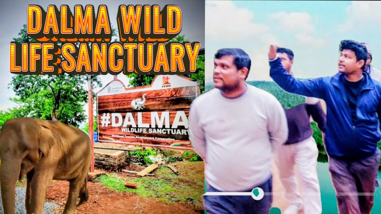 EP-1 | Overnight stay at Dalma Guest House PINDRABERA | DALMA WILD LIFE SANCTUARY |@Aryanlife007 || 