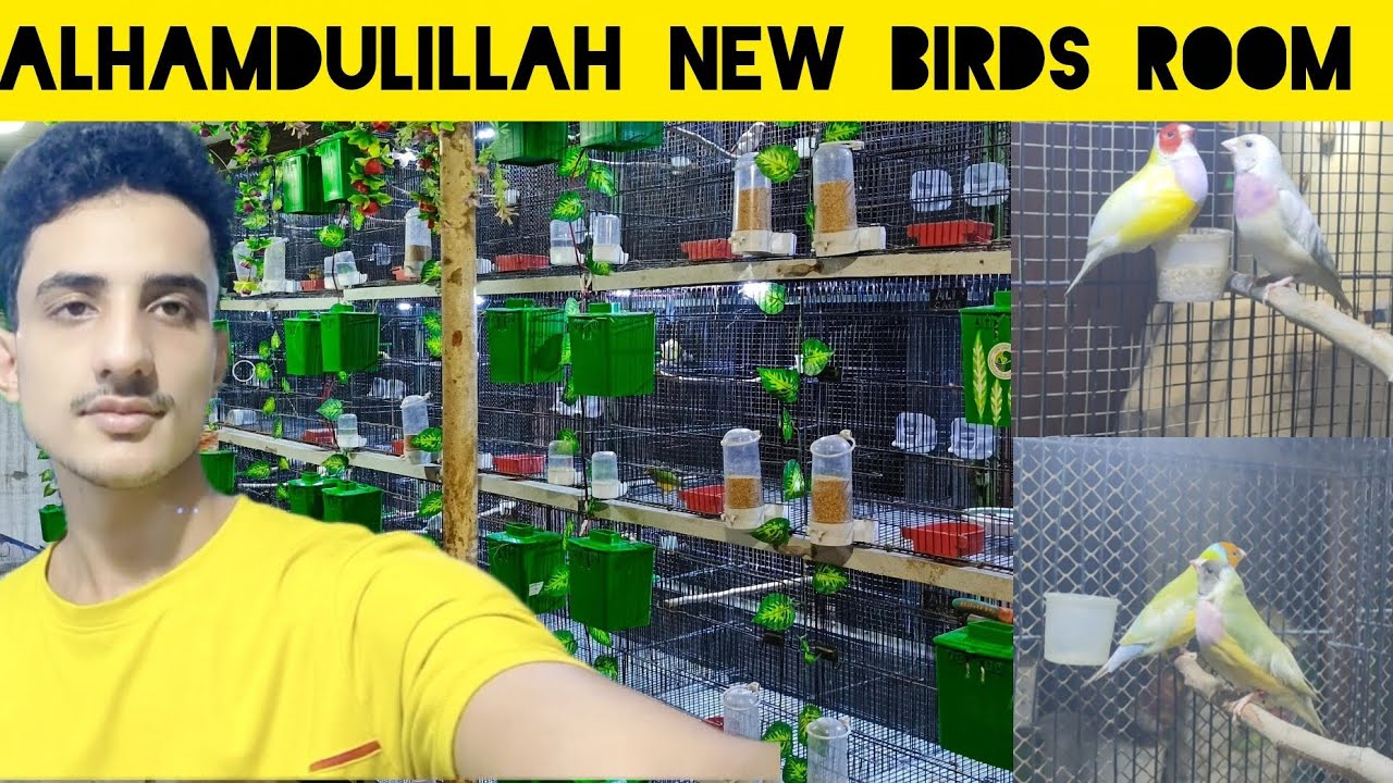 ALHAMDULILLAH my new birds room 😍.