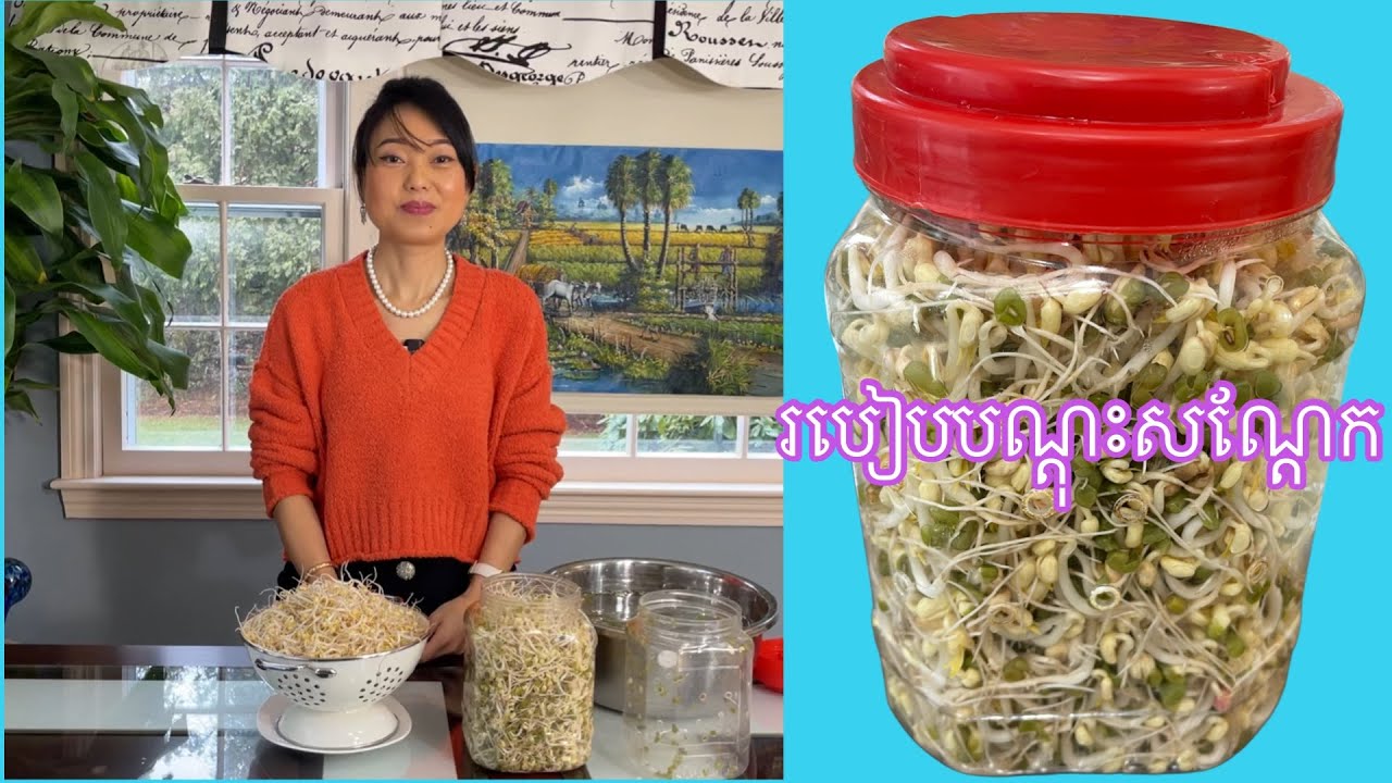 របៀបបណ្តុះសណ្តែកធម្មជាតិ || HOW TO GROW BEAN SPROUTS ORGANICALLY.