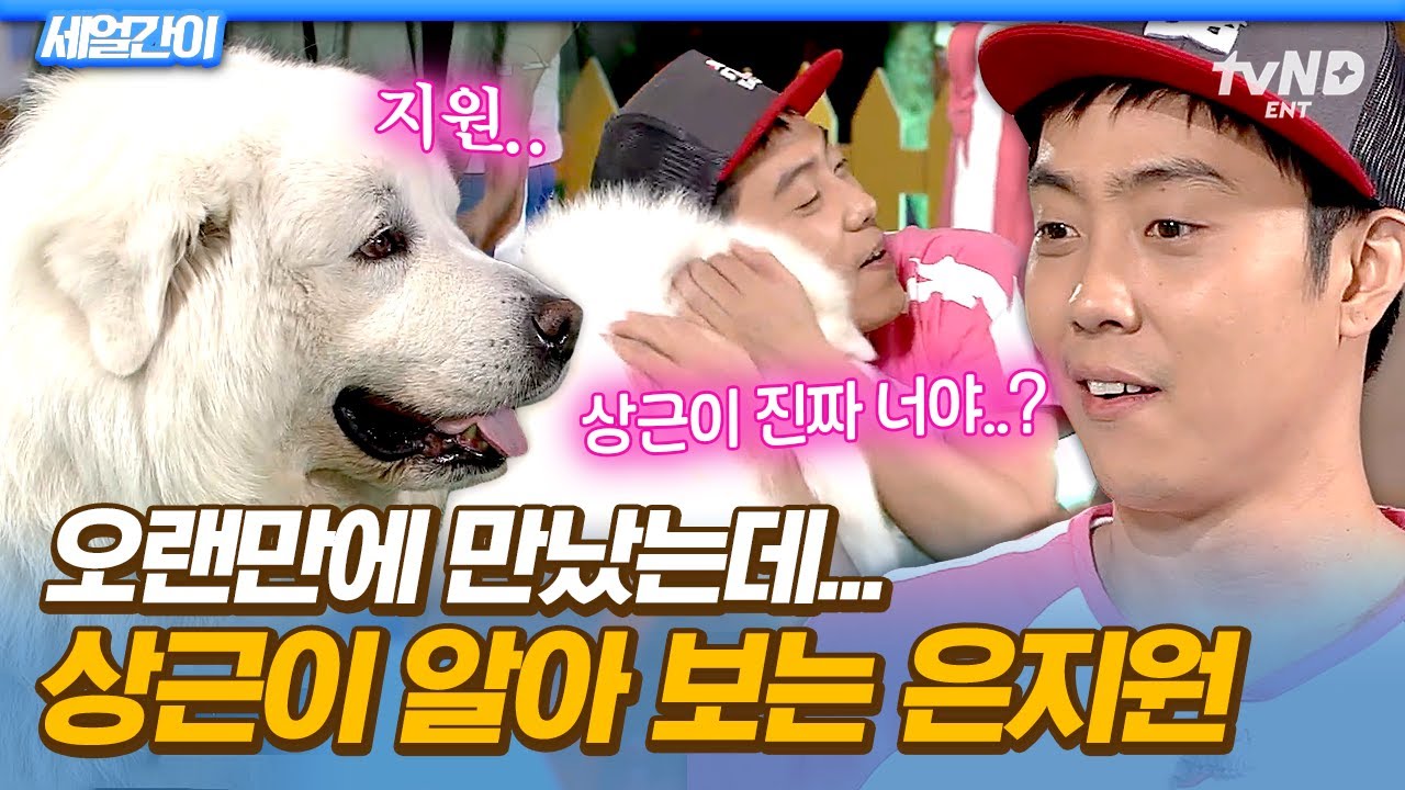 [#세얼간이] 어? 상근이 같은데?😮 1박 2일 시절 만났던 강아지와 재회한 은지원🐕