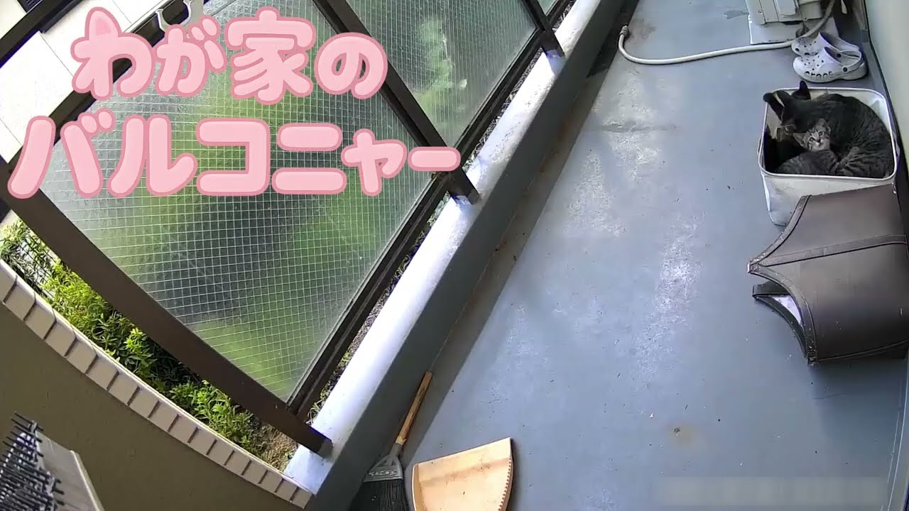 わが家のバルコニャー(135)