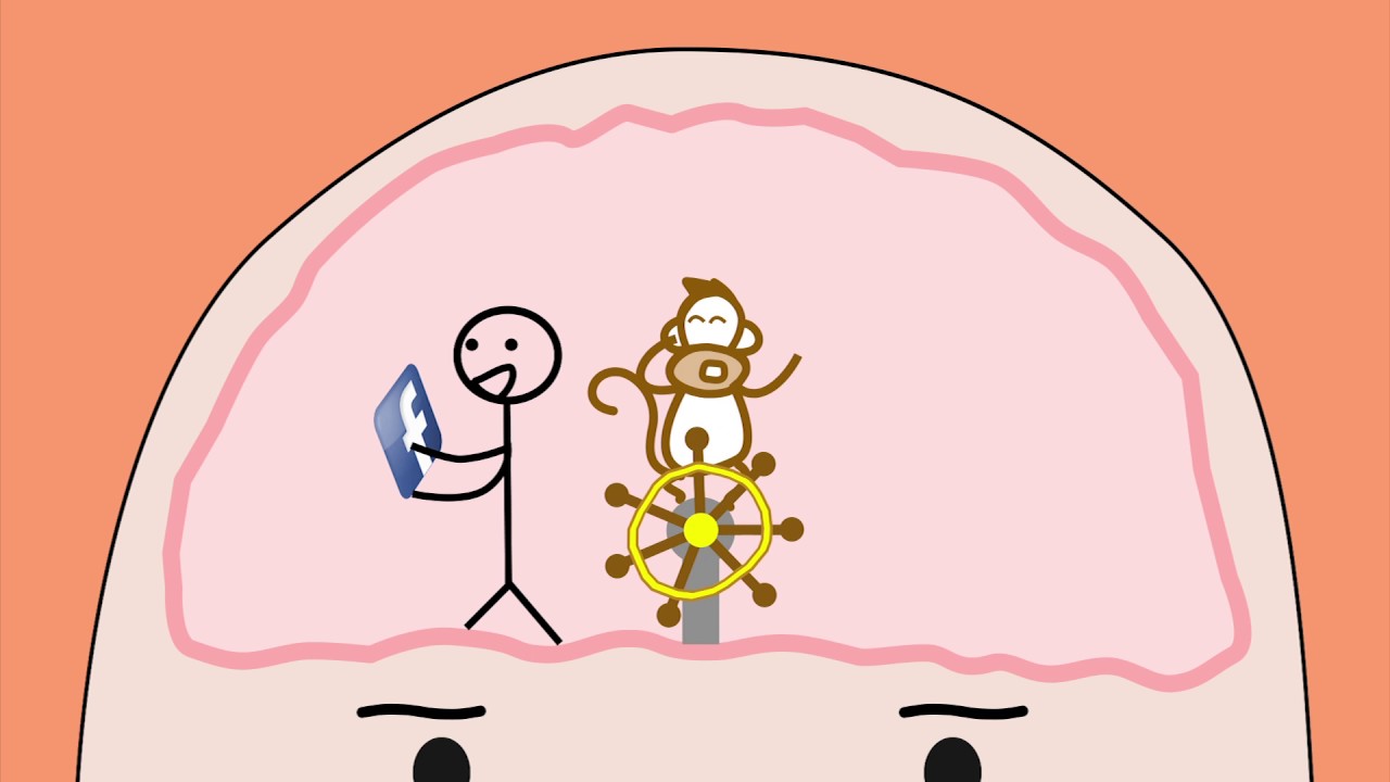 Instant Gratification Monkey