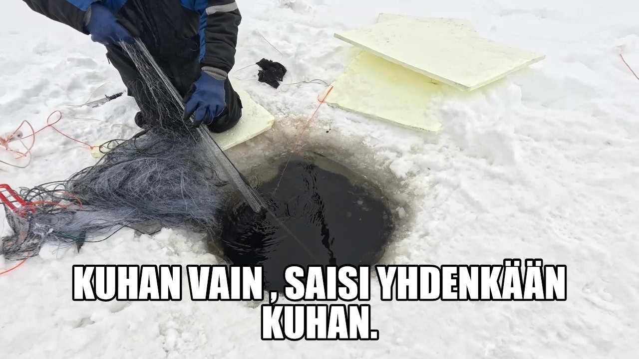 MITÄPÄ AHTI ANTAA TÄNÄÄN ??