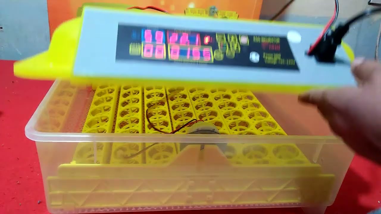 طريقة ضبط وبرمجة الفقاسة 56 بيضة الاوتوماتيك Egg Incubateur