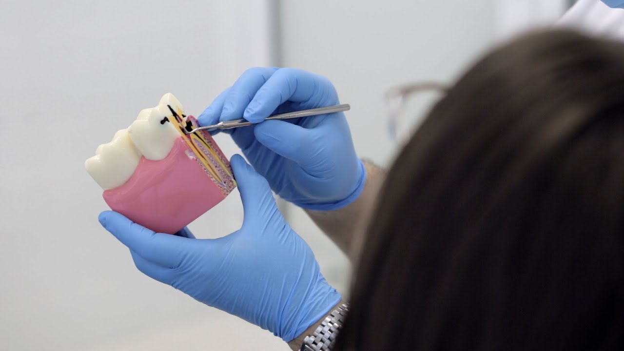 Quality (Denver CO Dentist)