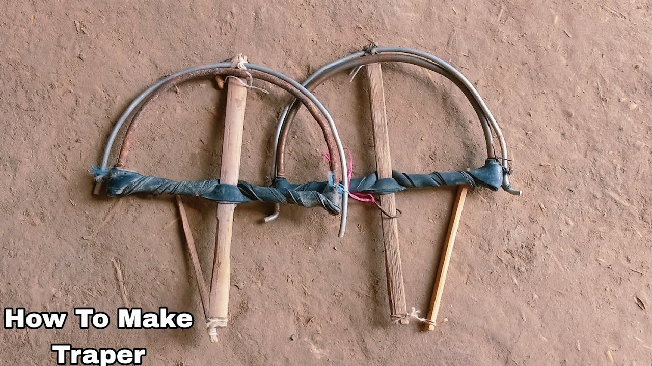 How To Make Traper Creative Best Trap Make Video| Hunt Birds Tv