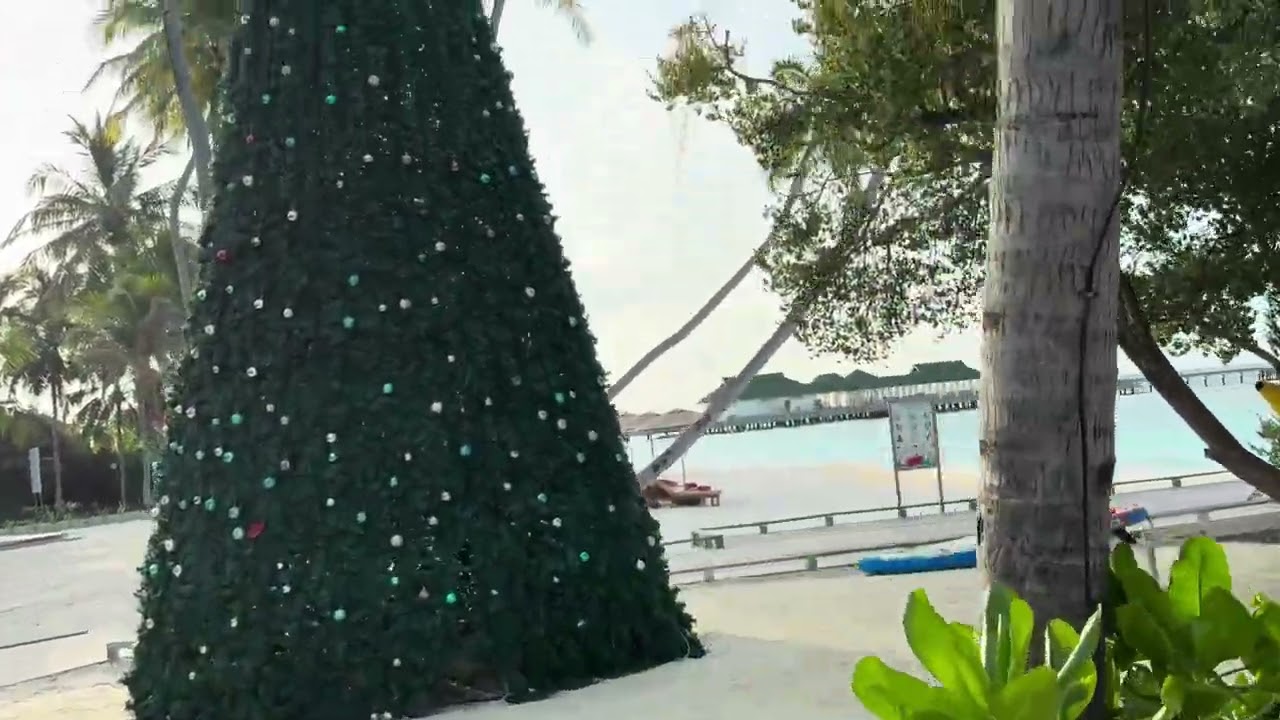 Отель и пляж Siyam World Maldives