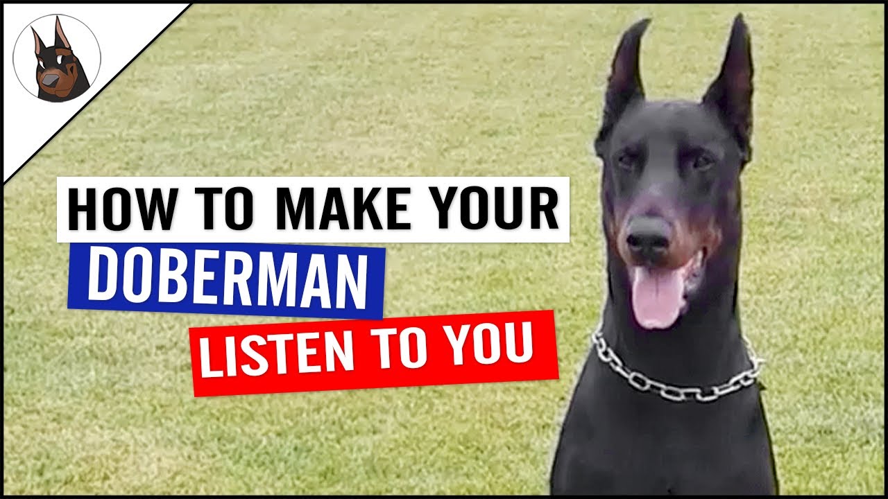 Tips that makes your recall command work