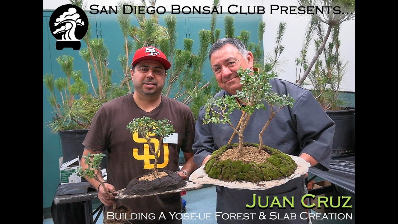 Juan Cruz - SDBC January 2026