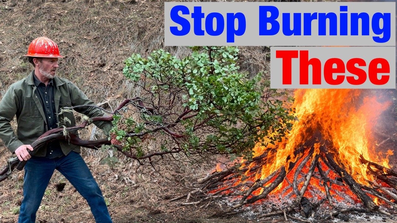 People Are Burning This Million Dollar Bush