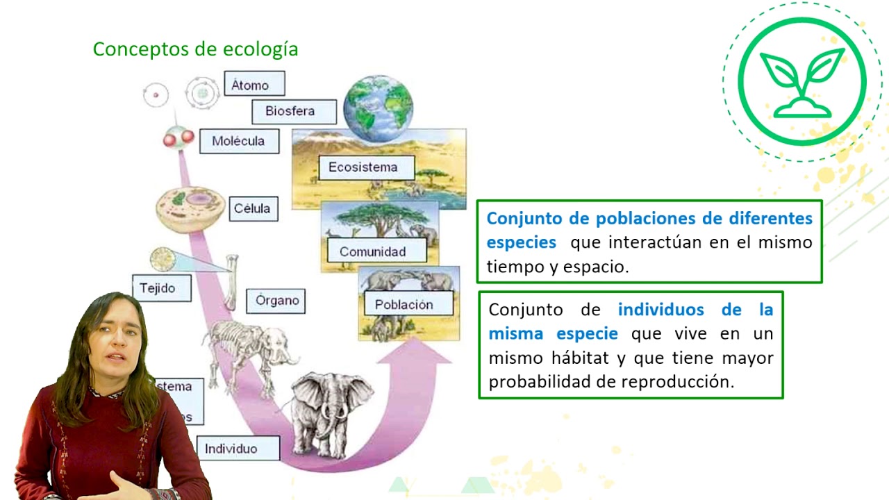 Biología NIVEL I - 