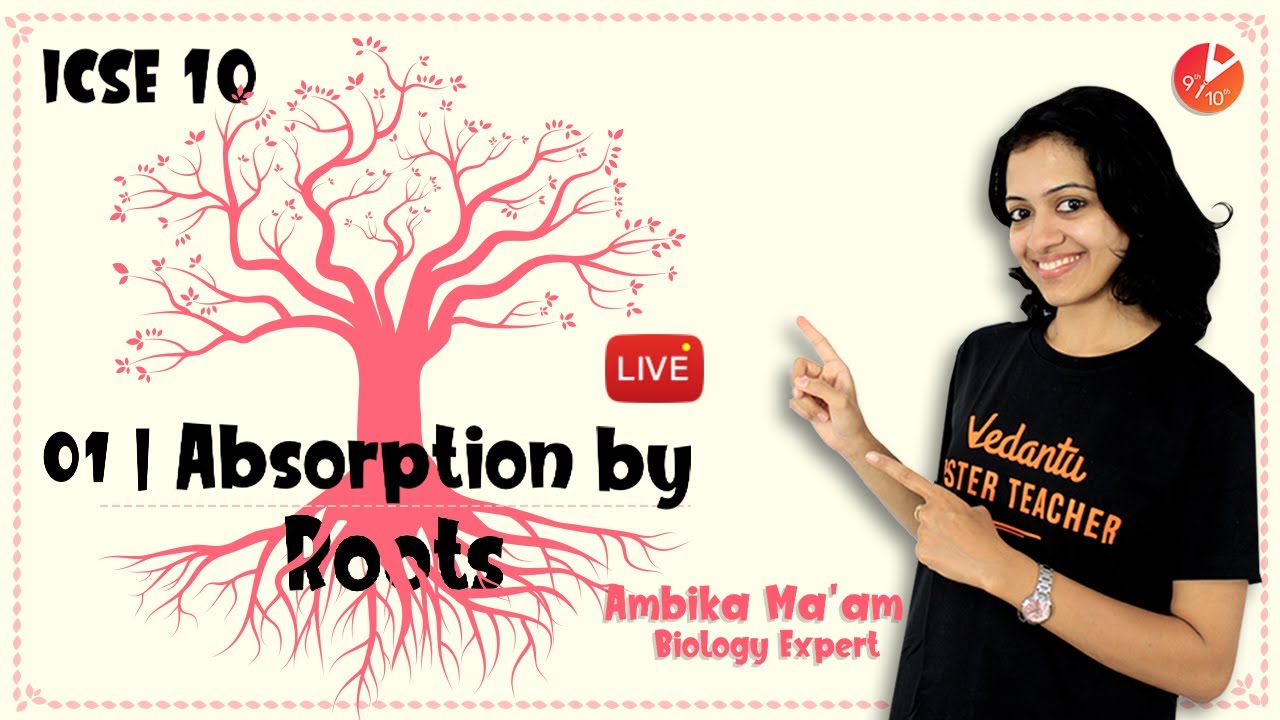 Absorption by Roots | Absorption of Minerals and Osmosis ICSE Class 10th Biology | Vedantu Class 10