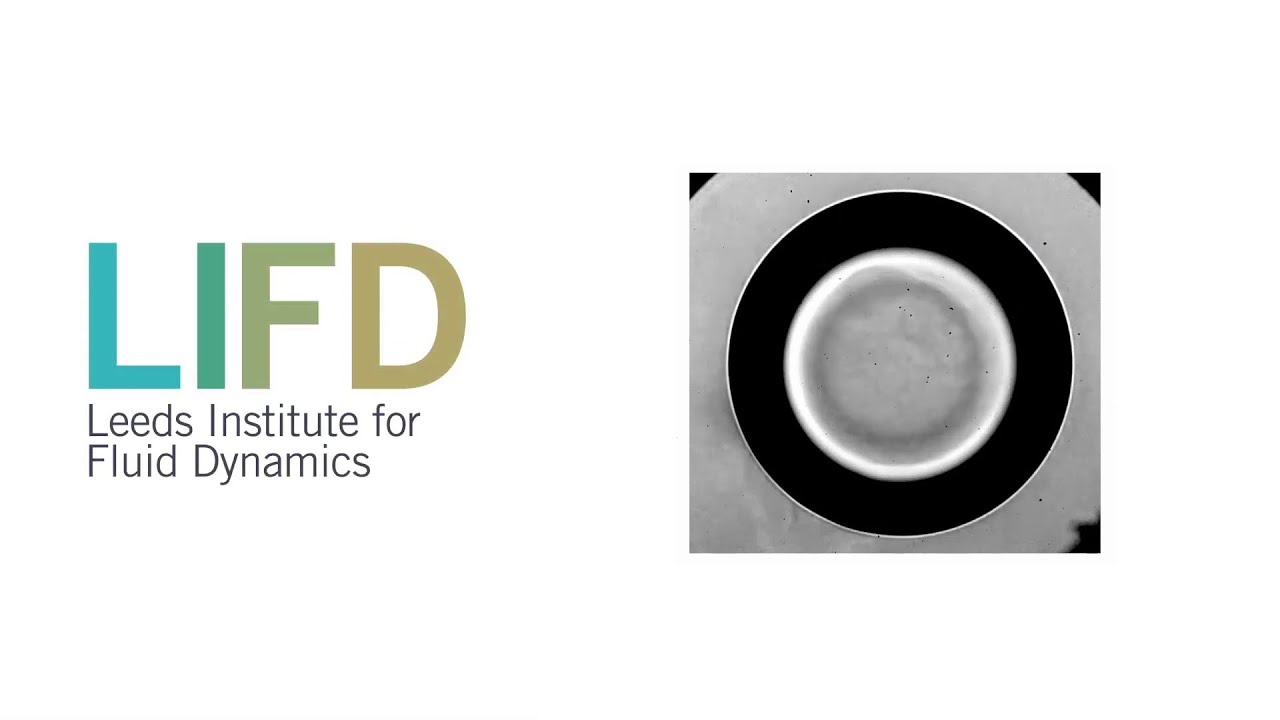 Bubble dynamics in complex fluids - Valeria Garbin