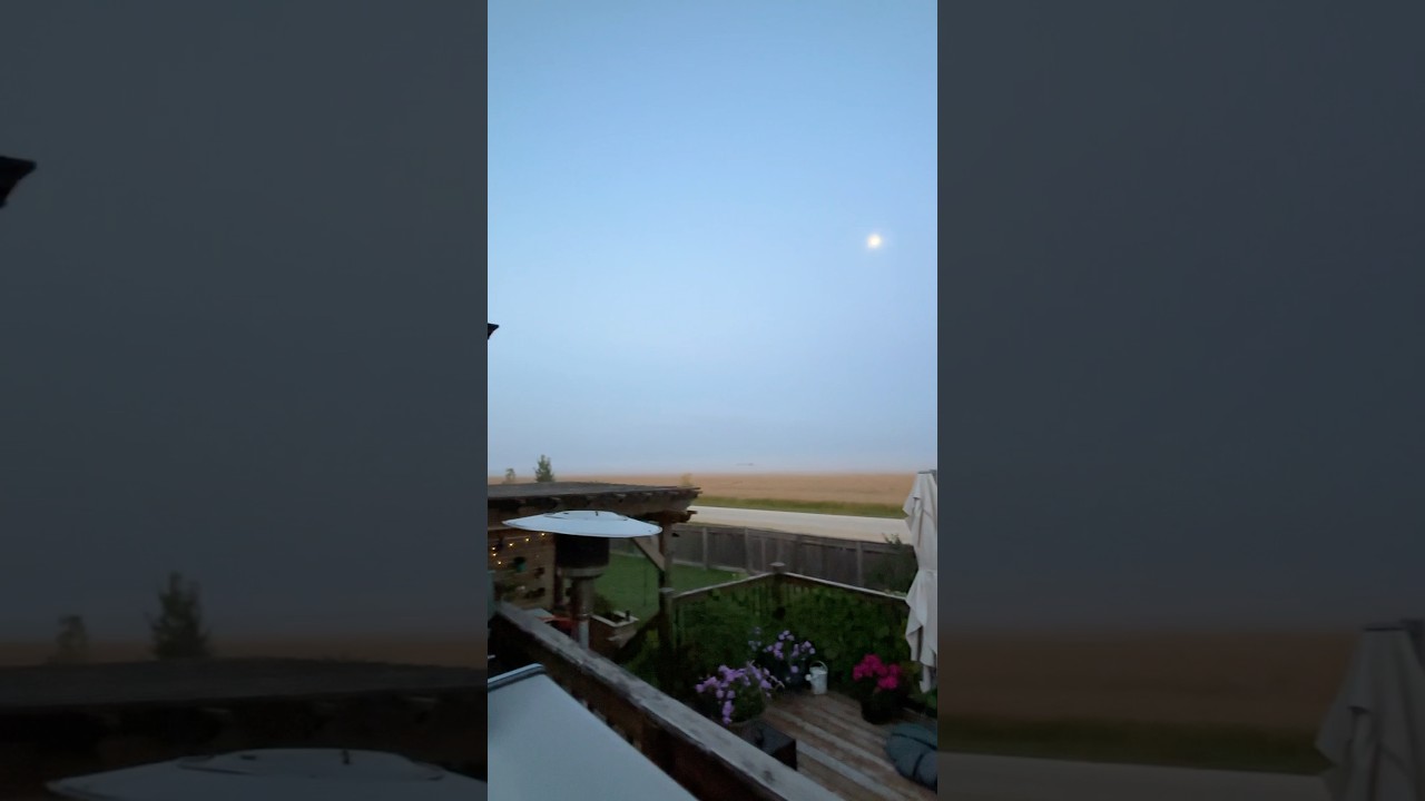#densefog #morningfog #winnipeggers #sunrise #moonset #wpgnow #jazzmusic #farm  #wpg #naturelovers