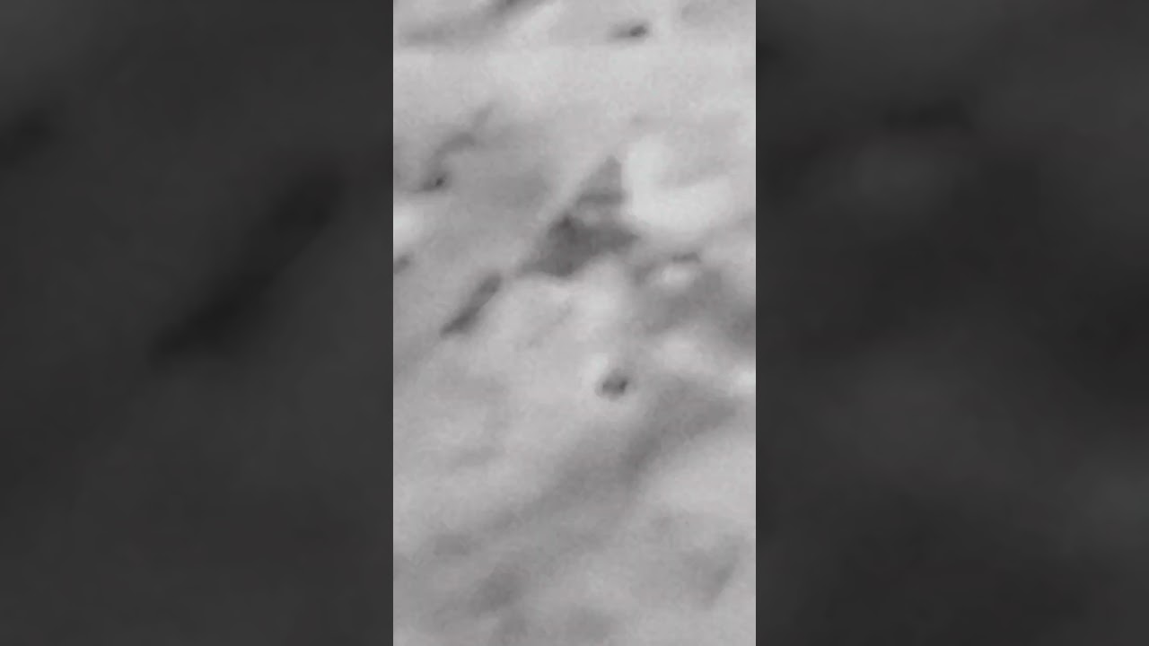28 February 2023