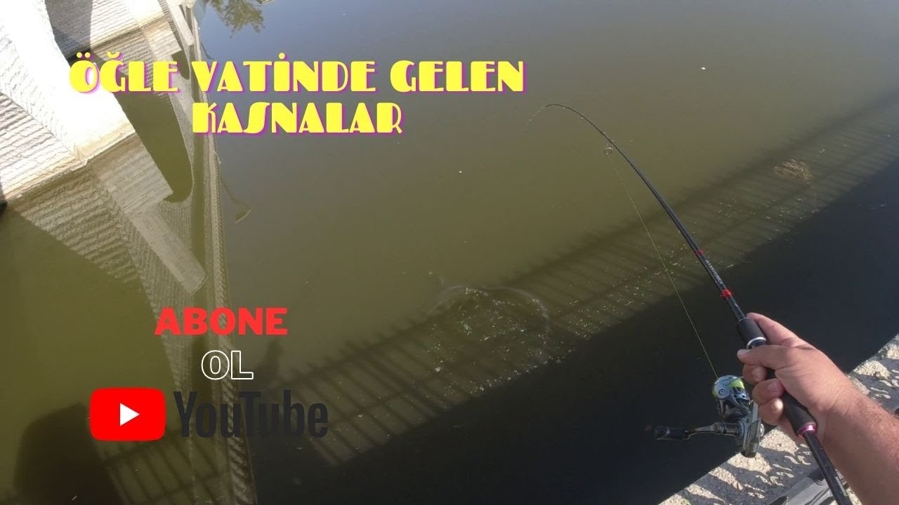 ÖĞLE SAATİNDE  LRF İLE KASNA AVI!!! (OYNAKLARIN ÜZERİNE OLTA ATIP BALIK YAKALADIK)