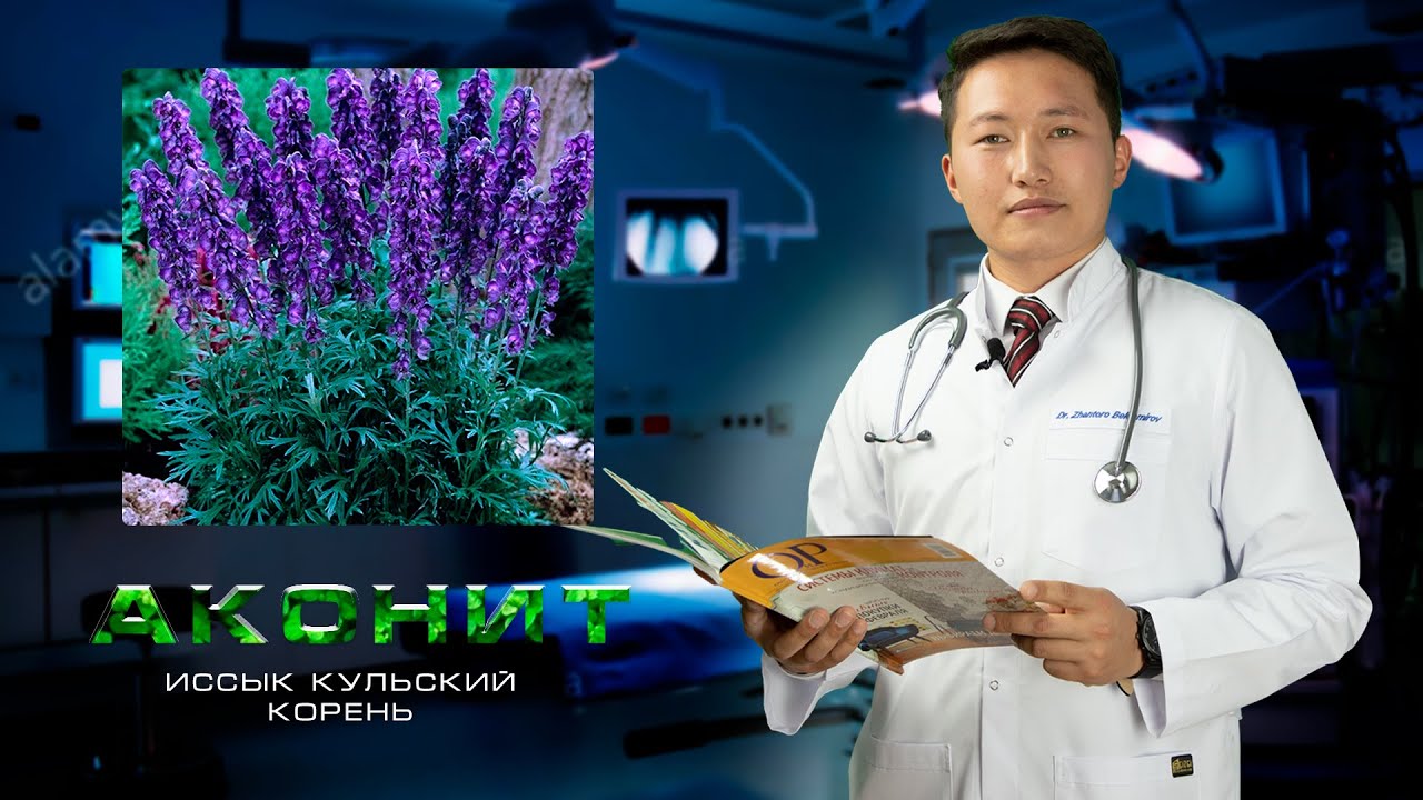 Аконит:  Как 