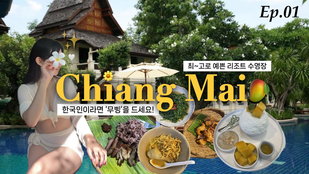 🇹🇭백수가 되자마자, 치앙마이로...마음의 평화를 찾아서💚 | 미슐랭, 현지인 맛집, 풀억세스 리조트