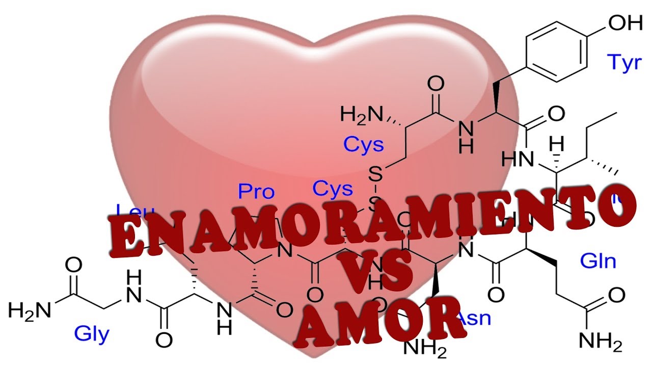 ¿EL AMOR ES SOLO QUÍMICA? | Reflexiones en el parque | por PsicoVlog