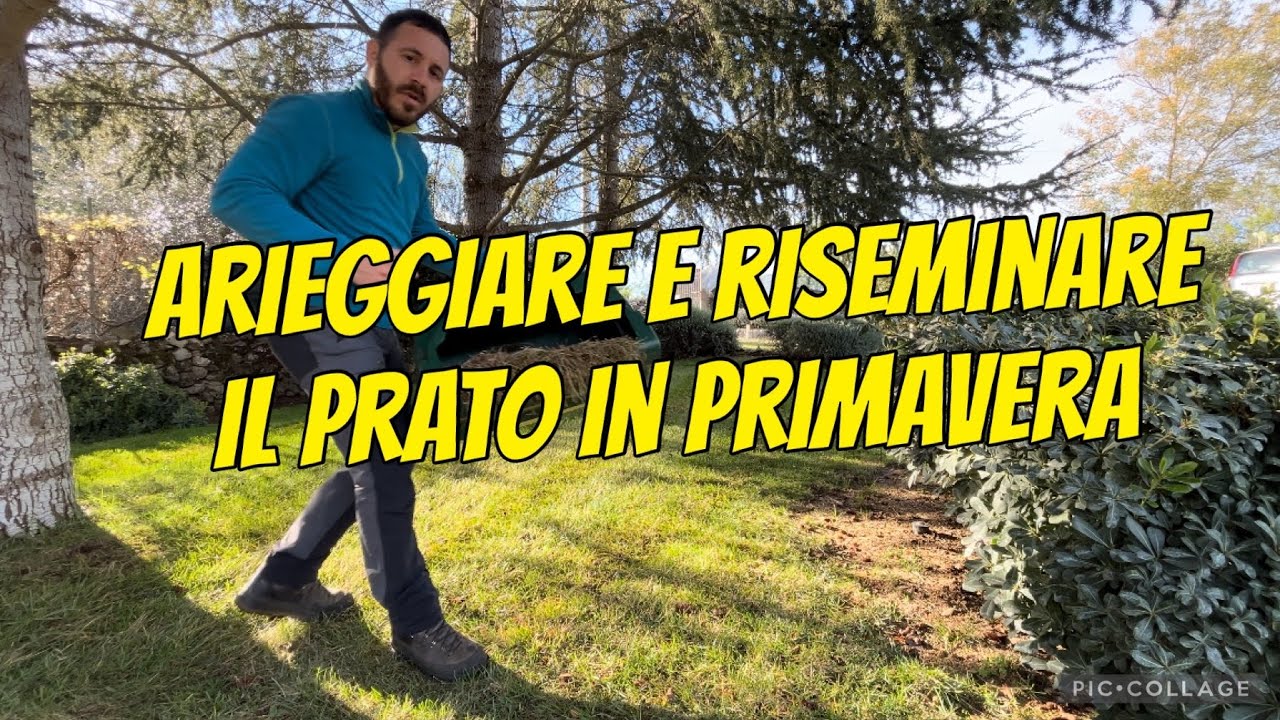 Come arieggiare e riseminare il prato in primavera - microterme